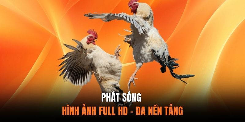 Hình Ảnh Full HD - Đa Nền Tảng