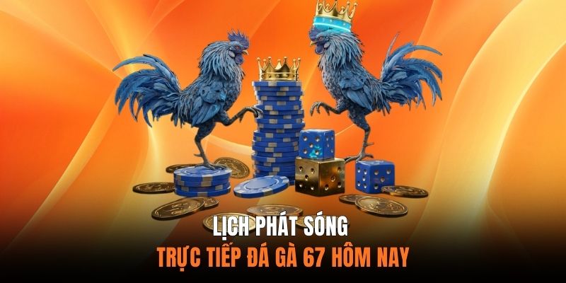 Lịch Phát Sóng Trực Tiếp Đá Gà 67 Hôm Nay