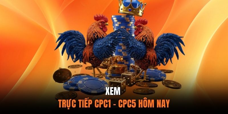 Xem Trực Tiếp CPC1 - CPC5 Hôm Nay Tại Đá Gà 67 
